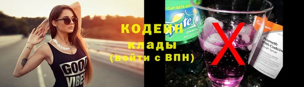 хмурый Абаза