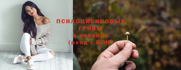 хмурый Покачи