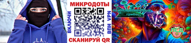где найти   Лысково  Псилоцибиновые грибы мухоморы 